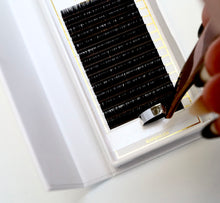 Load image into Gallery viewer, Buttery Collection